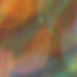 Bokeh-325